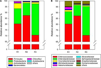 Effects of Host Plant and Insect Generation on Shaping of the Gut Microbiota in the Rice Leaffolder, Cnaphalocrocis medinalis